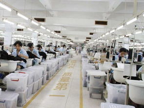 內衣廠家為何信賴波而朵 品質、創新與服務的三重保障